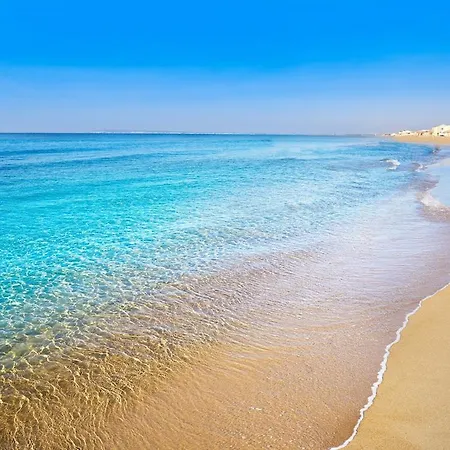 Harmony Terrace Haven With Pool Appartamento Torrevieja